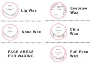 areas of face for waxing